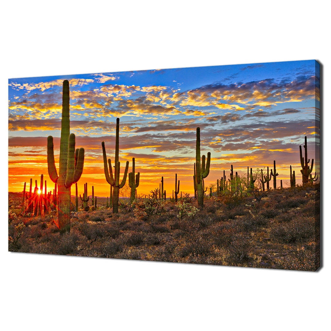 Sunset in Sonoran Desert Cactus Field North America Modern Design Home ...