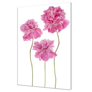 Three Peony Flowers Stems Modern Floral Design Home Decor Canvas Print Wall Art Picture Wall Hanging