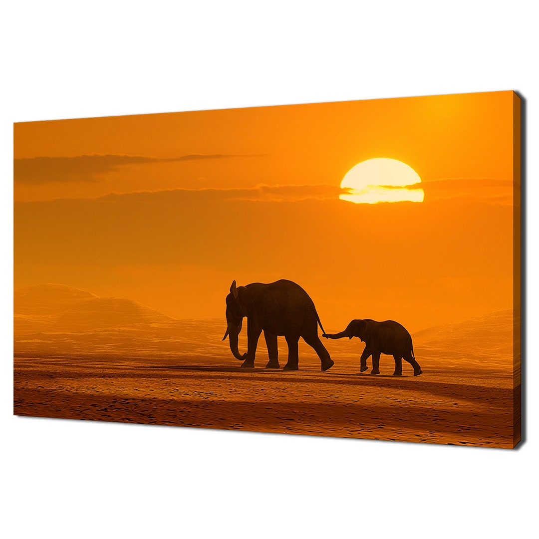 Mother and Baby Elephant Walking on Desert at Sunset Modern Design Home