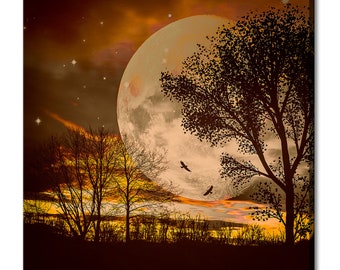 芸術写真 Nature Photograph Full Moon Art Print 芸術写真 Nature Photograph Full Moon Art Print 芸術写真