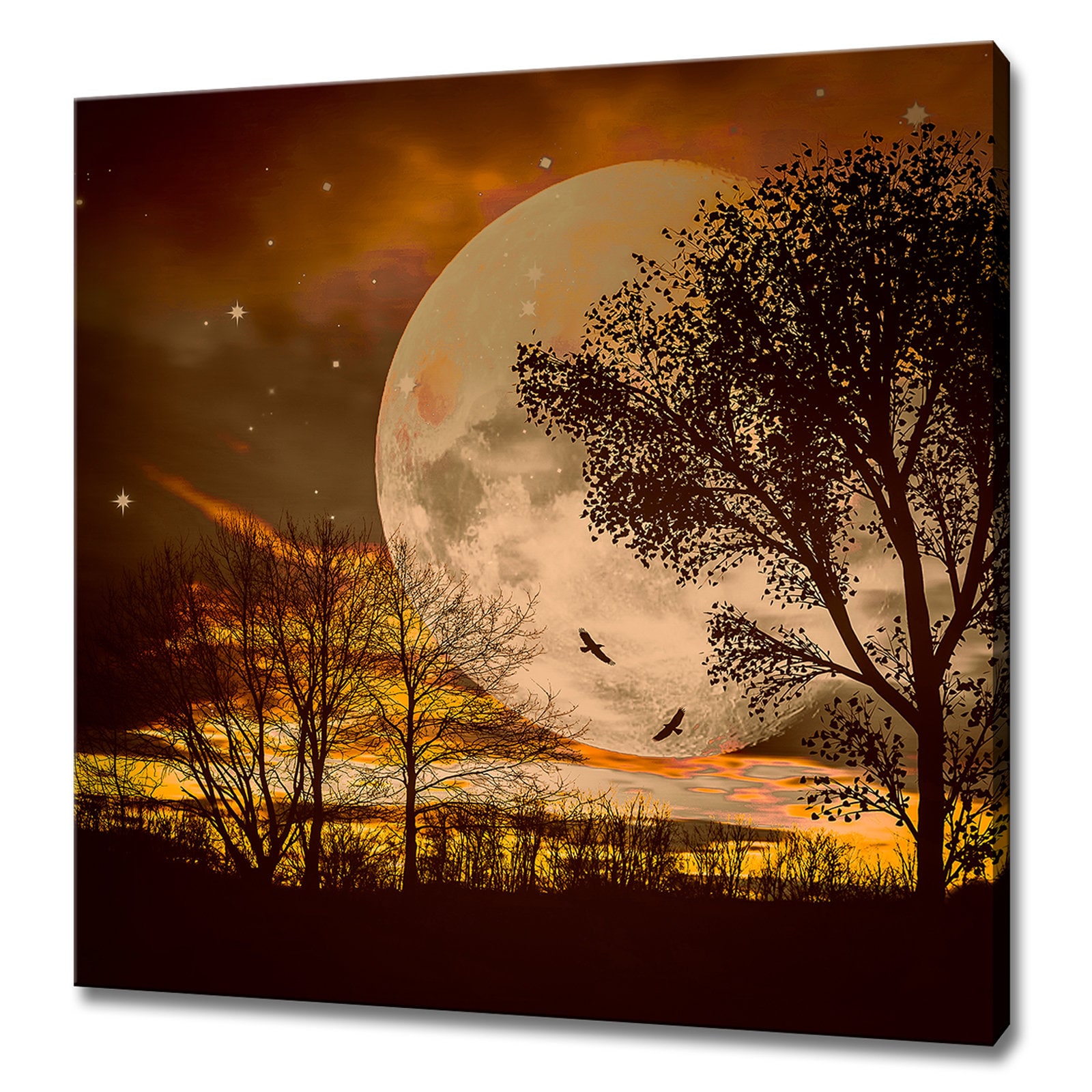 芸術写真 Nature Photograph Full Moon Art Print il_1080xN.1691267292_q2mo.jpg
