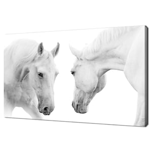 Beautiful White Horses Animals Modern Design Home Decor Canvas Print Wall Art Wall Hanging