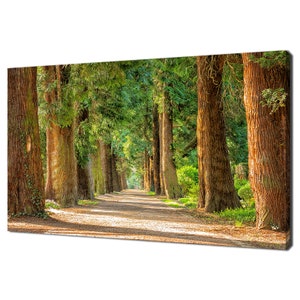 Beautiful Forest Path With Trees Nature Modern Design Home Decor Canvas Print Wall Art Wall Hanging