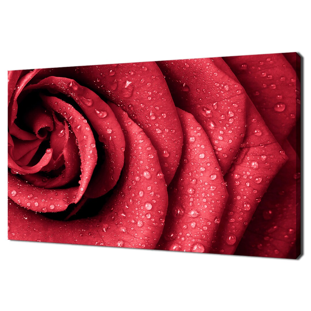 Beautiful Red Rose Flower With Water Drops Modern Design Home Decor ...