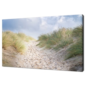Könnte beinhalten: Ein Weg durch hohes grünes Gras führt zu einem Sandstrand mit einem bewölkten blauen Himmel im Hintergrund.