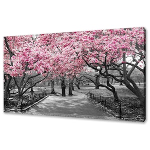 Beautiful Pink Blossom Trees In Central Park Modern Design Home Decor Canvas Print Wall Art Picture