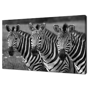 Black And White Three Zebras South Africa Animal Modern Design Home Decor Canvas Print Wall Art Wall Hanging