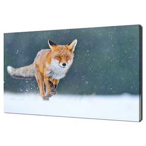 Red Fox Running Hunting In The Snow Animal Modern Design Canvas Print Wall Art Picture