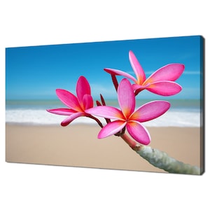 Pink Frangipani Plumeria Flowers On The Beach  Modern Floral Design Home Decor Canvas Print Wall Art Picture