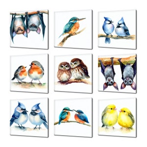 Sammlung von niedlichen Vögeln Leinwand Wandkunst, viele Designs Kinder Kinderzimmer Kunst, Kanarienvogel, Robin, Eichelhäher, Eisvogel, Fledermaus Leinwanddruck Wandkunst