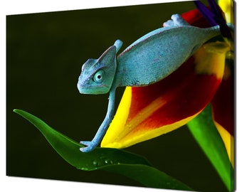 Chameleon Sitting On Tulip Flower Animals Modern Design Home Decor Canvas Print Wall Art Picture Wall Hanging