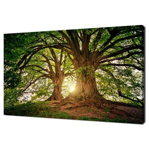 Sunrays Shining Through Tree Branches Modern Design Home Decor Canvas Print Wall Art Picture