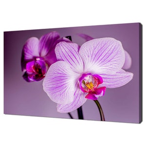Rosa Lila Orchidee Blumen Modernes Design Wohnkultur Leinwand Druck Wand Kunst Bild fertig zum Aufhängen