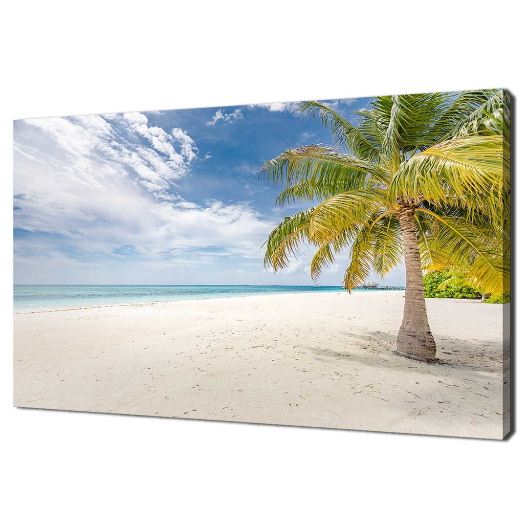 Beautiful Palm Tree on Tropical Beach Maldives Modern Design Home Decor ...