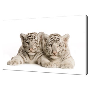 Beautiful White Tiger Cubs Couple Modern Design Home Decor Canvas Print Wall Art Picture Wall Hanging
