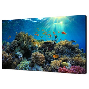 Tropical Underwater Scene With Coral Reef And Exotic Fish Modern Design Home Decor Canvas Print Wall Art Picture Wall Hanging