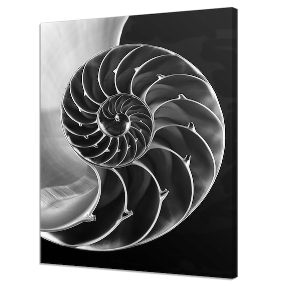 Fibonacci Sequence Shell