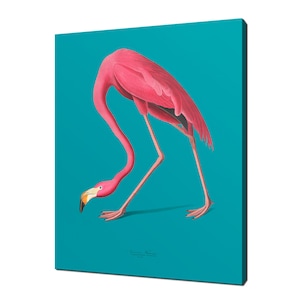 Vintage Pink Flamingo Illustration Bird Modern Design Canvas Print Home Decor Wall Art Picture Ready To Hang