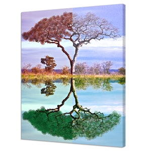 Four Seasons Tree Colourful Modern Landscape Design Home Decor Canvas Print Wall Art Picture Ready To Hang