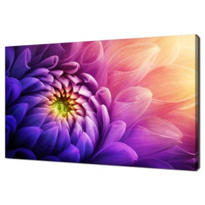 Colourful Chrysanthemum Flower Modern Design Canvas Print Wall Art Picture