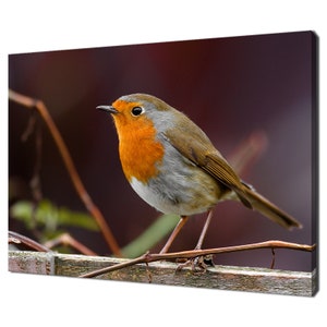 Robin Bird Sitting On The Fence Modern Design Home Decor Canvas Print Wall Art Picture Wall Hanging