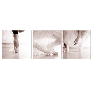 Ballet Dancer In Tutu Skirt Ballerina Shoes 3 Panels Modern Design Home Decor Canvas Print Wall Art Picture