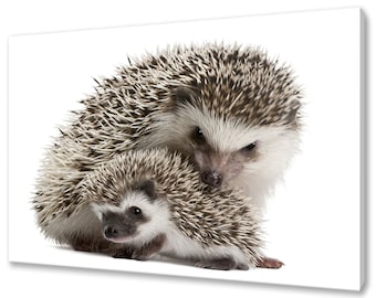 Mother And Baby Hedgehog Animals Modern Design Home Decor Canvas Print Wall Art Picture