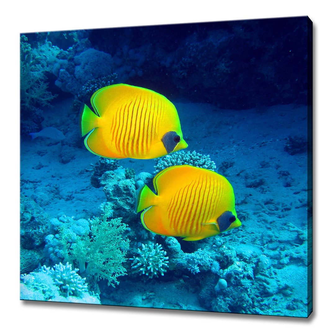 Butterfly Yellow Fish in the Blue Sea Modern Design Home Decor Canvas ...