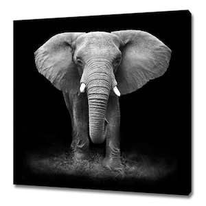 Black And White Elephant Animal Modern Design Home Decor Canvas Print Wall Art Picture