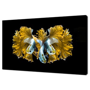Beautiful Yellow Dragon Siamese Fighitng Fish, Betta Fish Modern Design Home Decor Canvas Print Wall Art Picture