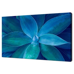 Nahaufnahme der Blauen Agave Pflanze Kaktus Sukkulente Modernes Design Leinwand Druck Wand Kunst Bild