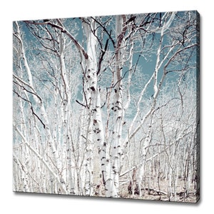 Beautiful Birch Trees Under The Blue Sky Modern Design Home Decor Canvas Print Wall Art Picture Wall Hanging