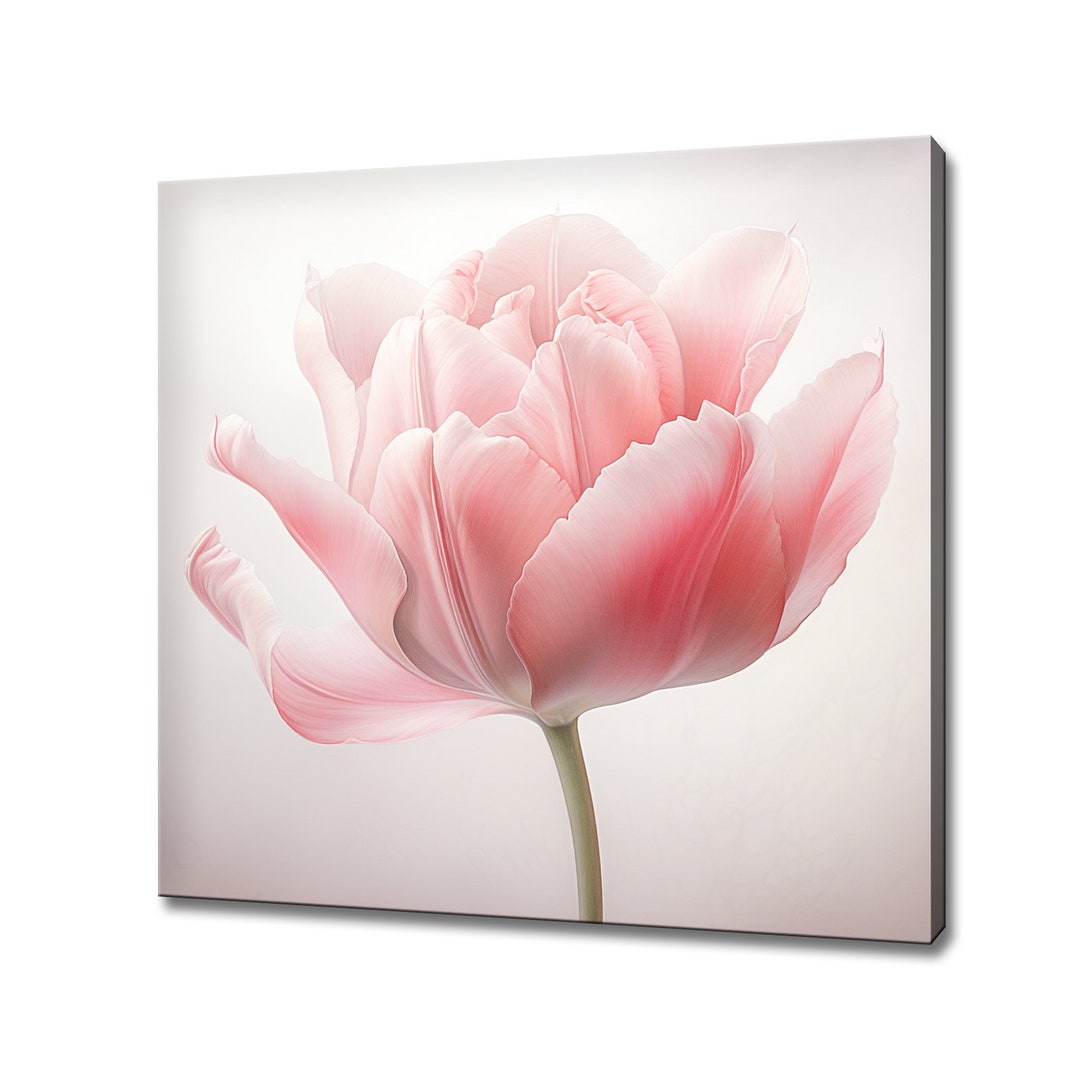 Pastel Pink Tulip Flower Close up Canvas Print Wall Art, Modern Floral ...