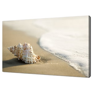 Op de afbeelding: Een witte schelp met bruine markeringen ligt op een zandstrand met een schuimende golf die erachter kamt.