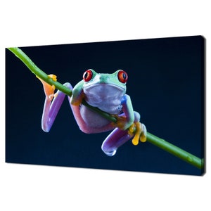 Red Eyed Tree Frog Animal Modern Design Home Decor Canvas Print Wall Art Picture Wall Hanging