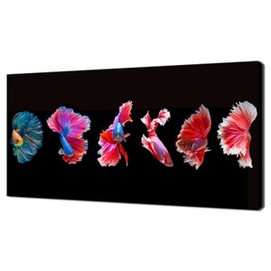 Siamese Fighitng Fish Betta Collection Colourful Modern Design Home Decor Canvas Print Wall Art Picture