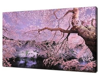 Beautiful Full Bloom Of Pink Cherry Blossom Tree At Night Time In Japan Modern Design Home Decor Canvas Print Wall Art Wall Hanging