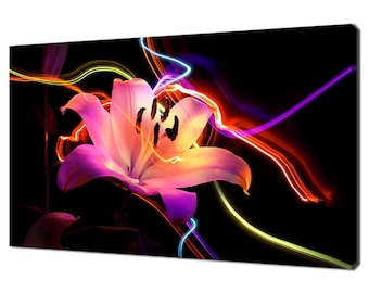 Può includere: Un fiore di giglio rosa con un centro giallo è illuminato da strisce di luce colorate su uno sfondo nero.