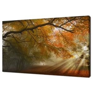 Autumn Forest Foggy Path Sunrays Modern Landscape Design Home Decor Canvas Print Wall Art Picture Wall Hanging