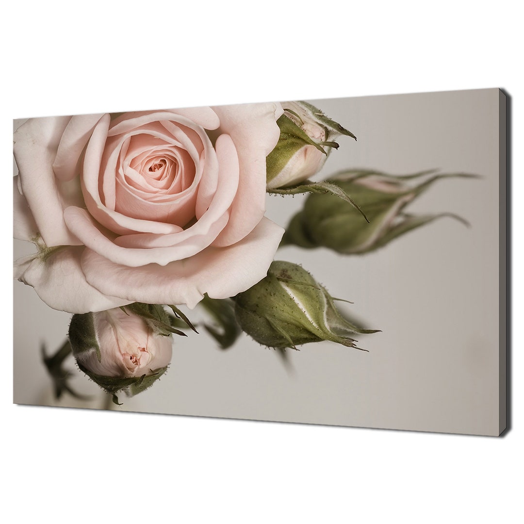 Beautiful Pink Vintage Rose Flower Modern Floral Design Home Decor ...