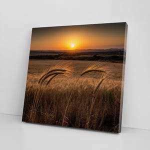 May include: A canvas print of a wheat field at sunset. The sun is a bright orange orb in the sky, casting a warm glow over the golden wheat. Two stalks of wheat are in the foreground, their details highlighted by the setting sun.