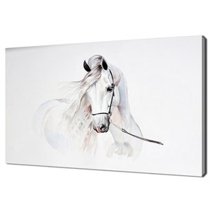 Watercolor Painting Of White Andalusian Horse Portrait Modern Design Home Decor Canvas Print Wall Art Picture