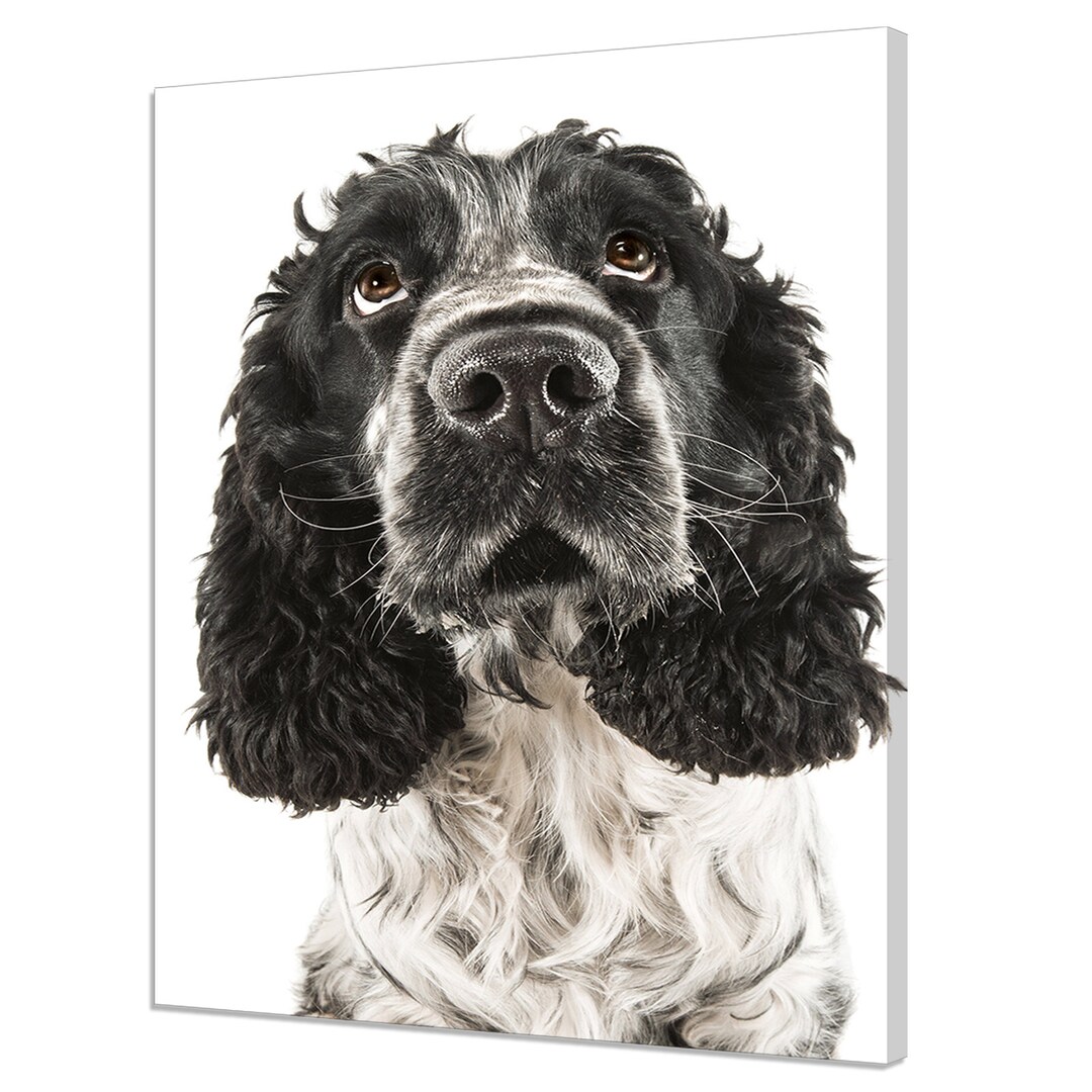 Beautiful English Cocker Spaniel Dog Modern Design Home Decor Canvas ...