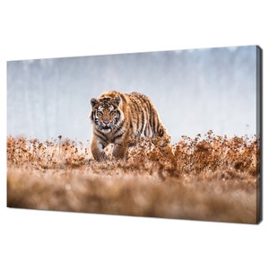 Stunning Siberian Tiger Big Cat Animal Modern Design Decor Canvas Print Wall Art Picture