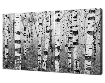 Black White Birch Trees Forest Modern Design Home Decor Canvas Print Wall Art Picture