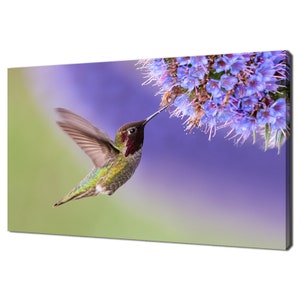 Flying Hummingbird With Purple Flower Modern Design Home Decor Canvas Print Wall Art Picture