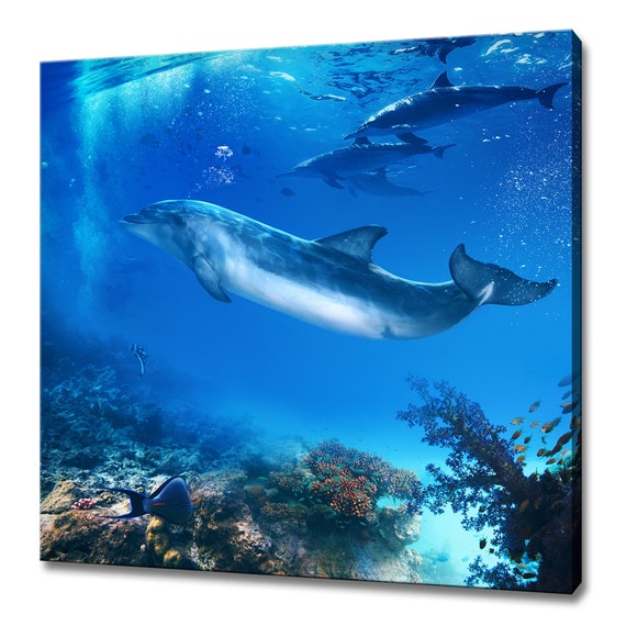 Underwater Swimming Dolphins Family Sea Modern Design Home Decor