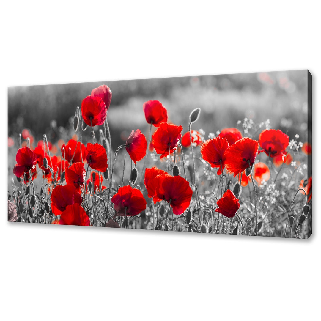 Beautiful Red Poppies Flowers Field Modern Design Home Decor Canvas ...
