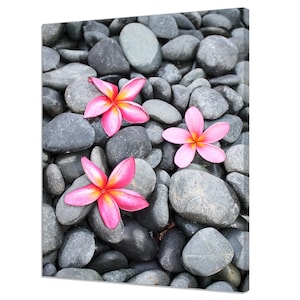 Pink Plumeria Frangipani Flowers On Pebbles Zen Spa Bathroom Modern Design Canvas Print Home Decor Wall Art Wall Hanging Picture