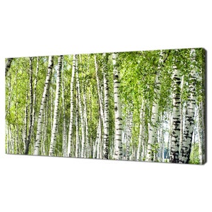 Summer Green Birch Forest Grove Modern Design Home Decor Canvas Print Wall Art Picture Wall Hanging